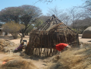 ブッシュマンの伝統的な家屋は、丸く組んだ木を乾いた草で覆ってつくられる。