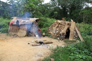 定住集落のバカ・ピグミーの家。