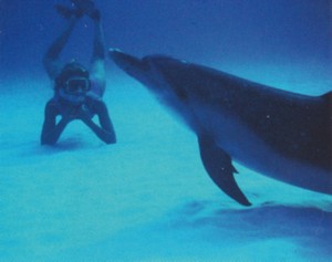 人間の真似をして、海底で寝そべるリトルガッシュ(メスのイルカ)。著者撮影