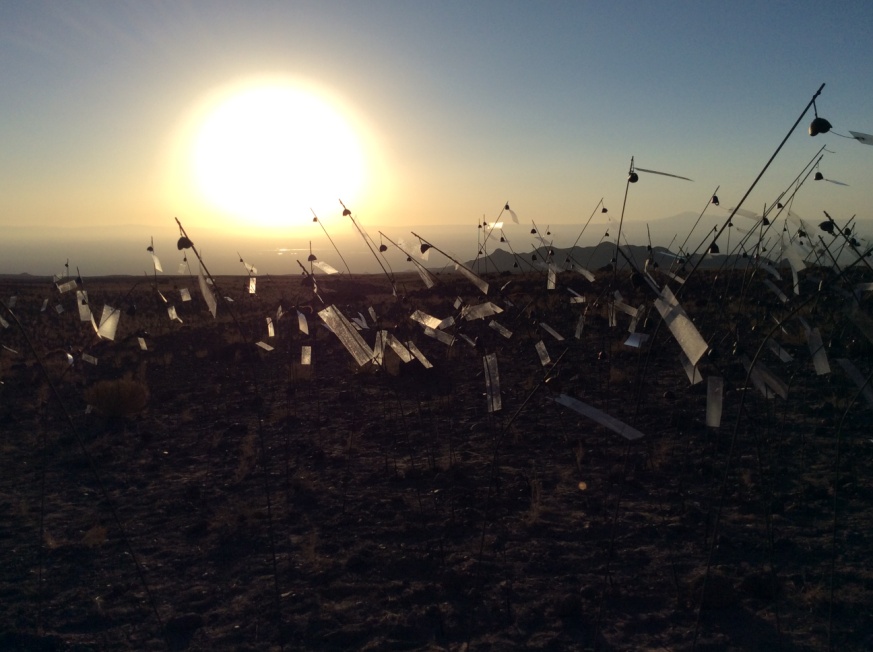 《アニミタス》(小さな魂)、2014年 Photo: Angelika Markul Courtesy the artist and Marian Goodman Gallery