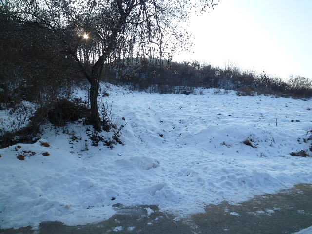 現在は畑として使用できるようになった土地（2013年12月）