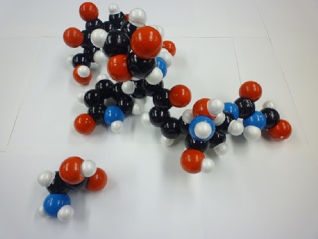 （がらくた分子の模型　写真の分子模型の分子量は約1000.左下の小さい分子模型はグリシン（分子量75)：小林氏提供）