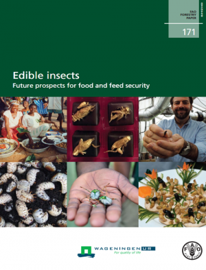 【写真6】FAOの報告書「 Edible insect -Future prospects for food and feed security-」