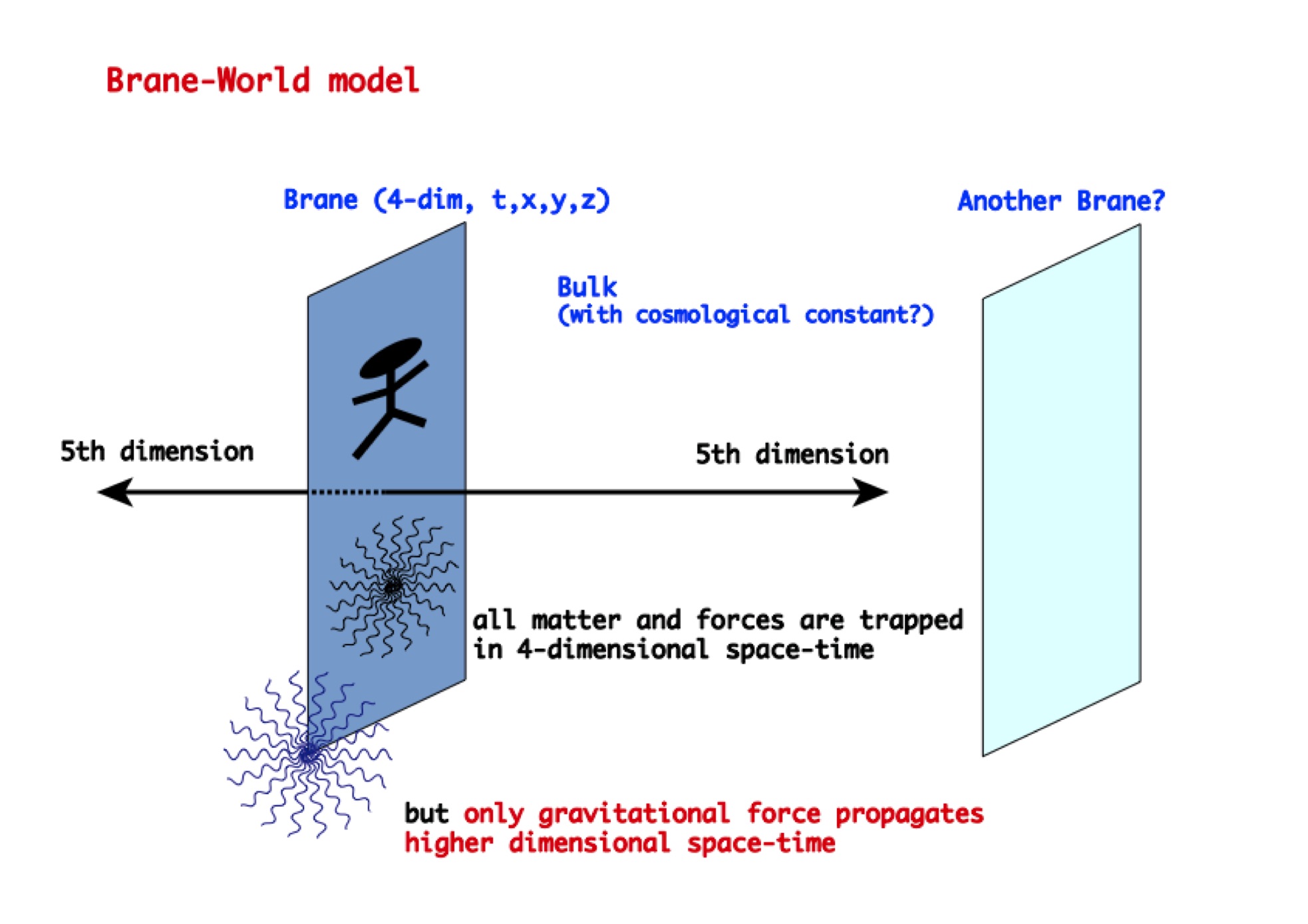 図2　ブレーンワールドのモデル図（重力だけが高次元空間に逃げている）