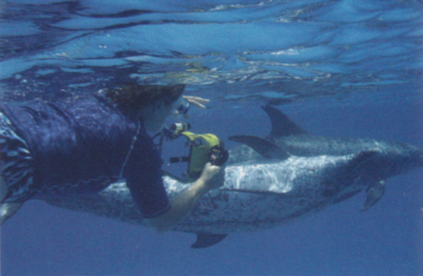 水中ビデオを手にイルカを追う著者。マイケル・グリーン撮影