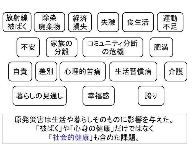 リスクと価値 福島での経験から 村上道夫 Synodos